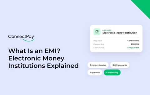 Was ist ein E-Geld-Institut (EMI)? – Eine Erklärung